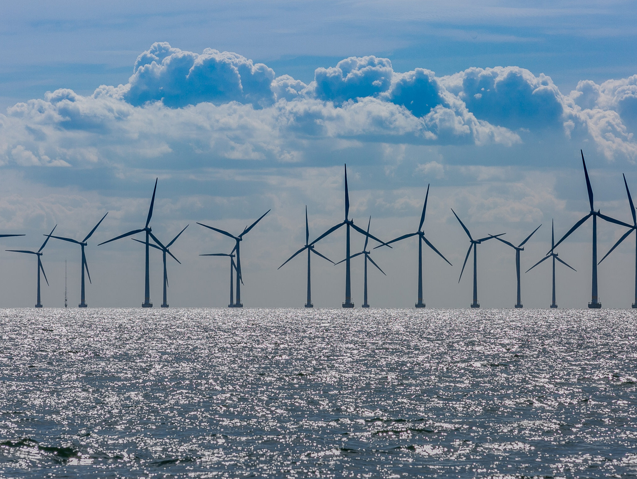 Em 2025, a ind&uacute;stria de energia e&oacute;lica da Alemanha procura coletivamente a mudan&ccedil;a!
